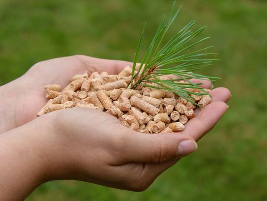 Pellet: koszty i ekologia – fakty zamiast mitów